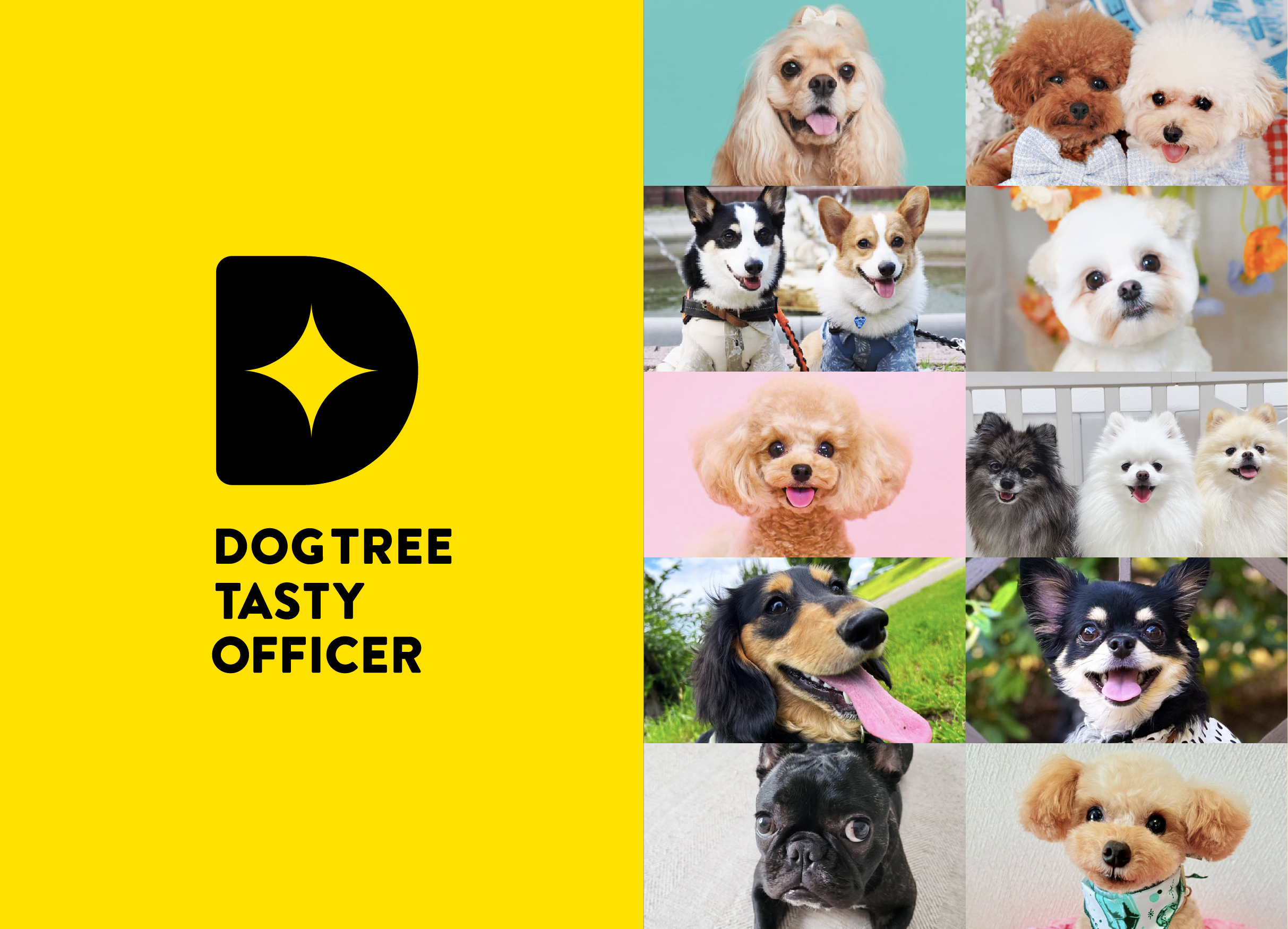 DOGTREE TASTY OFFICER