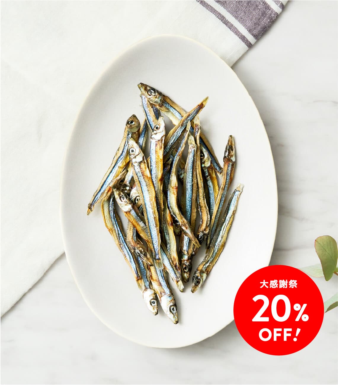 【大感謝祭20%OFF】きびなご S