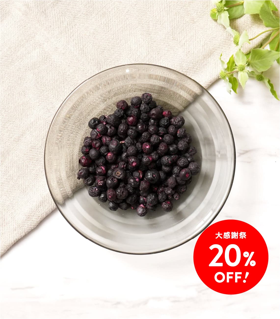 【大感謝祭20%OFF】フリーズドライ ブルーベリー S