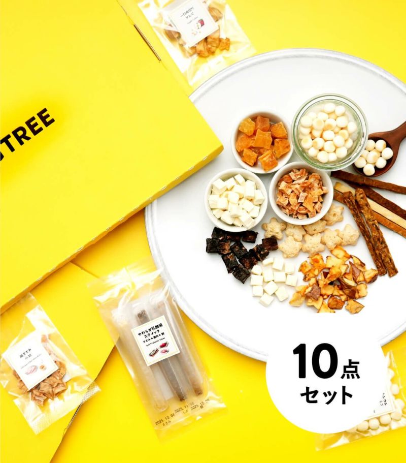 【お一人様1回限り・送料無料】おやつお試し10点セット