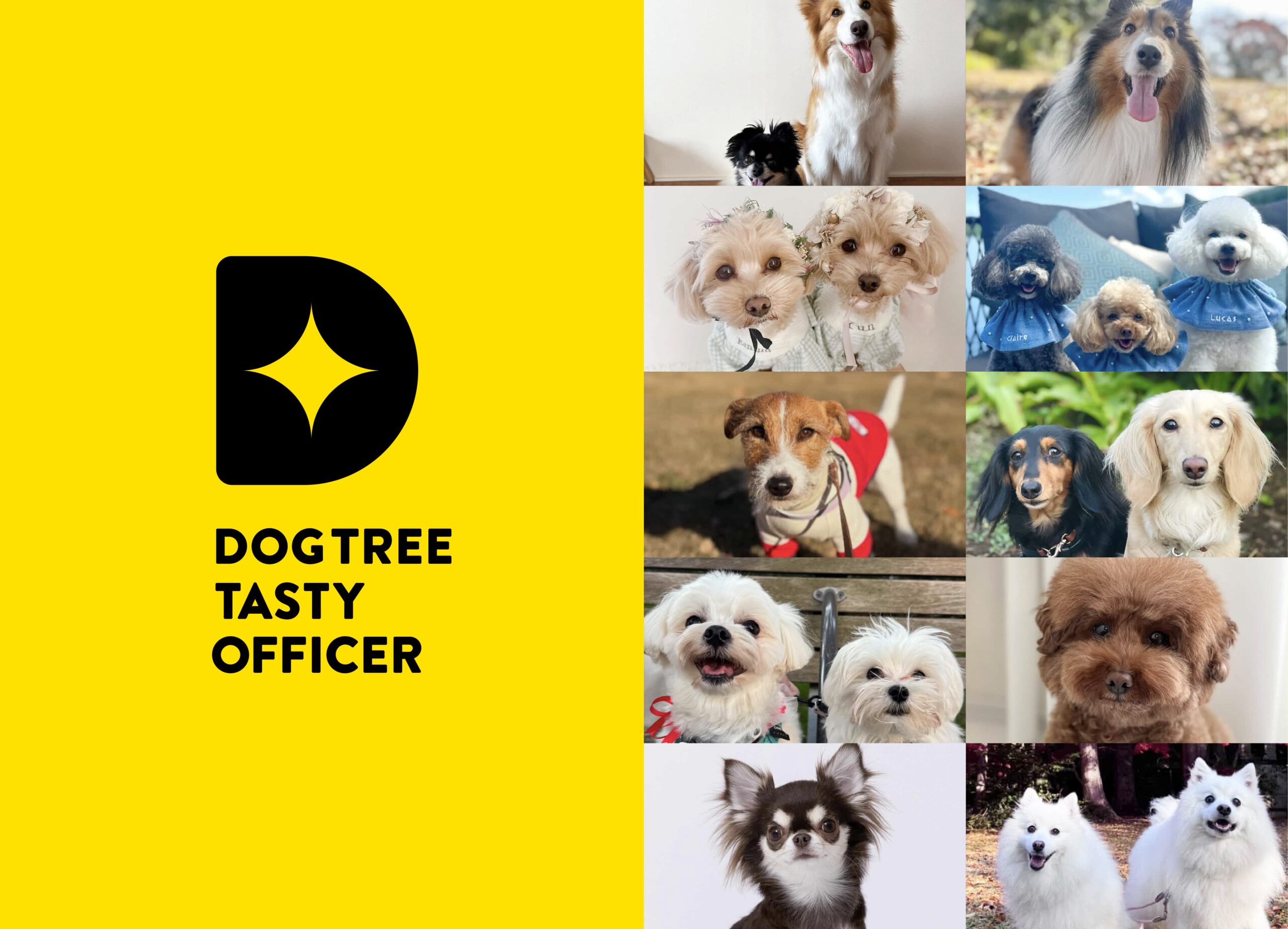 DOGTREE TASTY OFFICER